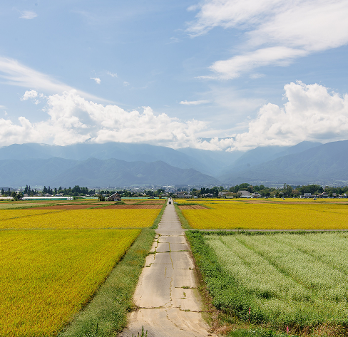 Countryside view of fields in Nagano