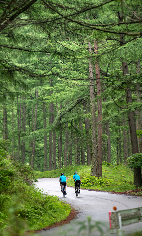 Nagano's green forest cycling roads