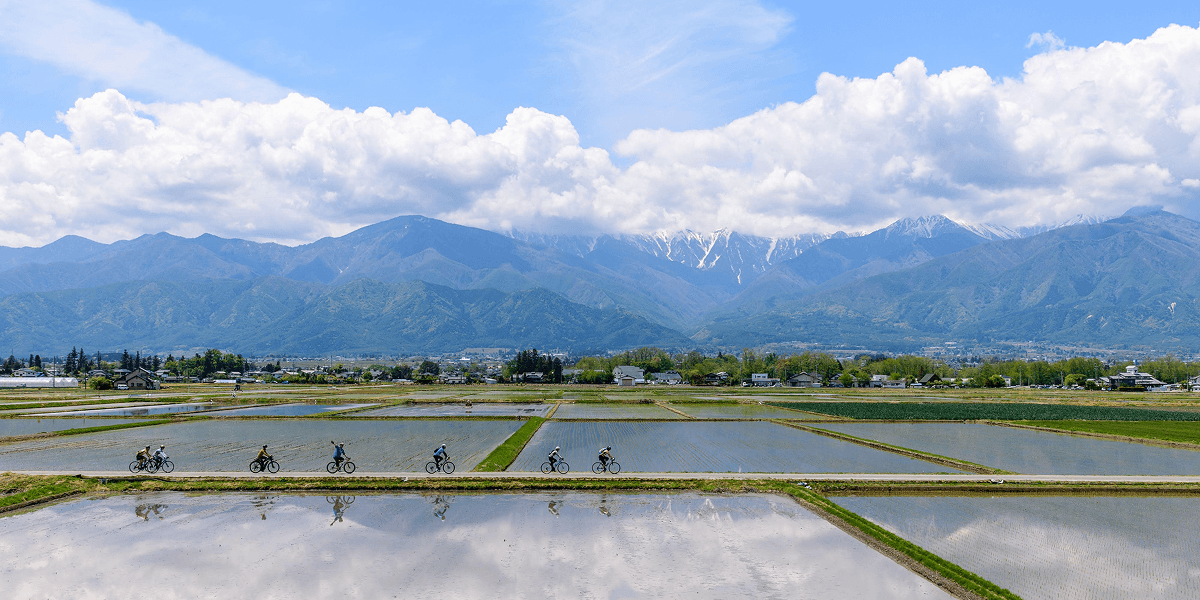 Cycling in Nagano Japan, paddy field reflections