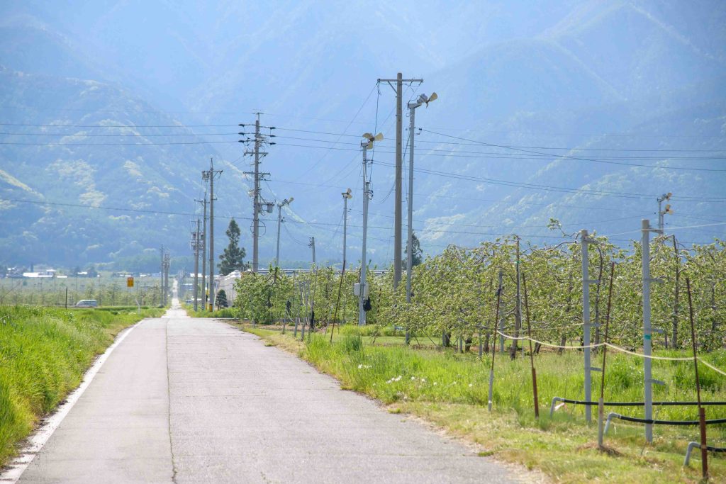 A cycling road through orchards with a backdrop of mountains in Nagano Japan