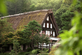 Takayama village in Nagano Japan