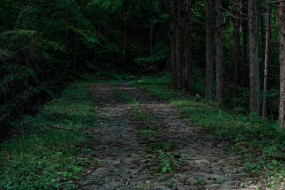 Historic pilgrimage route of the zenkoji-kaido, in Nagano, Japan