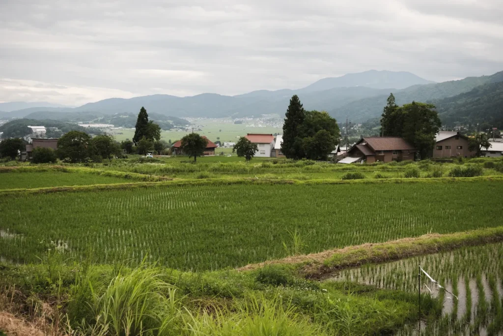 Rice paddies and mountain views in Nagano
