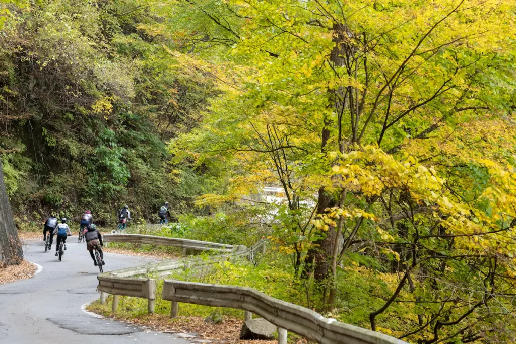 Cycling in Autumn in Nagano prefecture Japan