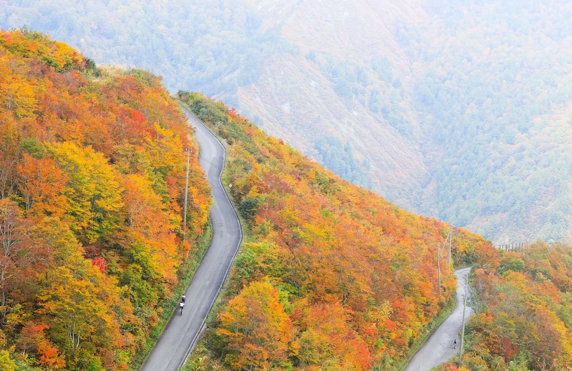 Autumn leaves in Japan Alps Mountain Range